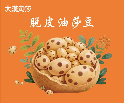 神奇的油莎豆（虎坚果）(图1)