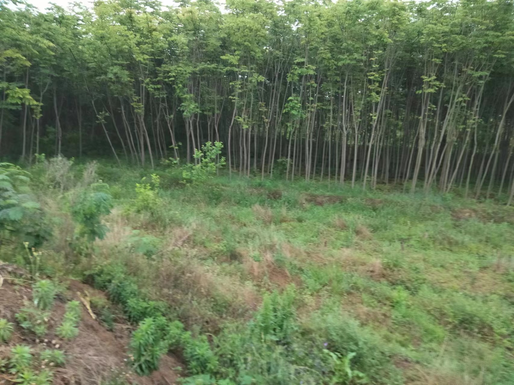 1698031396569448.jpg 微信图片_20230506082811.jpg