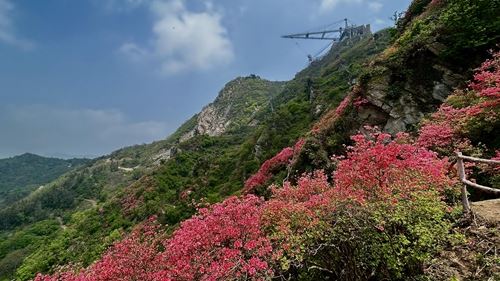 16495025646908790_5.jpg 16495025646908790_5.jpg