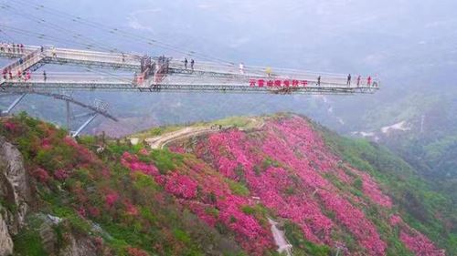 16512221792657947_5.jpg 16512221792657947_5.jpg