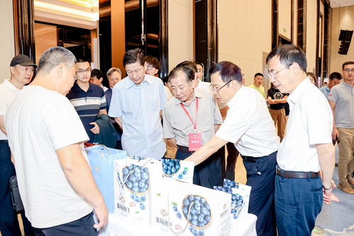 09444679181565637_5.png 09444679181565637_5.png