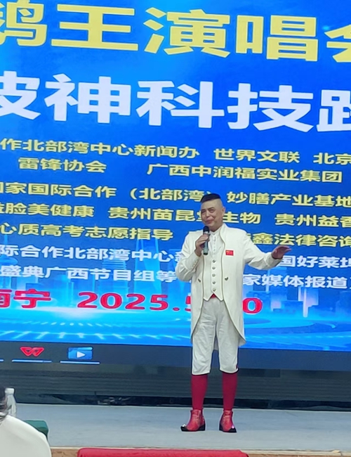世界鹅王演唱会，波神科技跨界峰会启幕(图4)