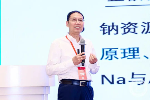 破界·融合·共赢：第二届AEPT固态电池产业峰会擘画新能源时代新生态(图9)