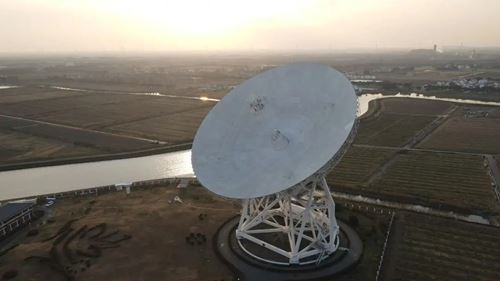 互集文旅与佘山镇新镇村正式签订“天马星空村”乡村文旅项目运营协议(图4)