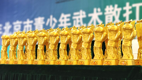 2025年北京市青少年武术散打●自由搏击比赛在国际安全防卫学院开赛(图6) 2025年北京市青少年武术散打●自由搏击比赛在国际安全防卫学院开赛(图6)