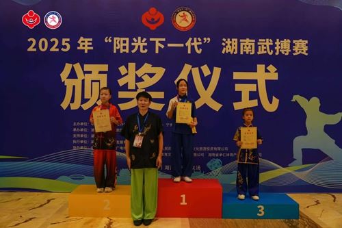 2025年“阳光下一代”湖南武搏赛桃江县武术队荣获佳绩(图3)