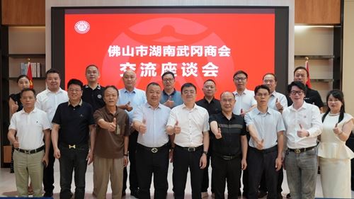 唐伟文市长率团赴佛山开展招商考察(图7)