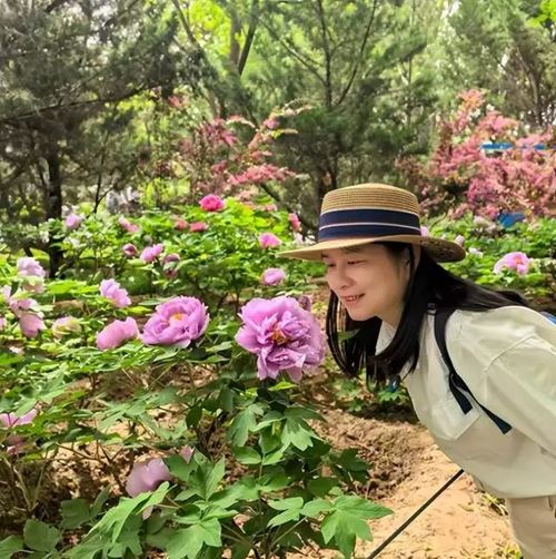 长沙市美协国画艺委会走进湘西龙山惹巴拉写生线上作品展(图32)