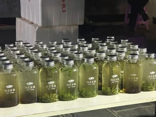 湘超现场湖邑茶集免费送万杯保靖黄金茶新茶饮，引爆湘西茶韵热潮(图8)