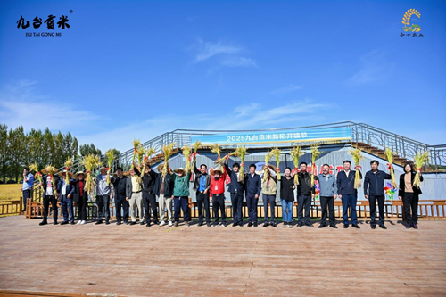 九台贡米新稻开镰   合十农业谱新篇(图3)