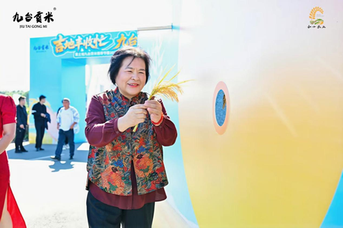 九台贡米新稻开镰   合十农业谱新篇(图5)