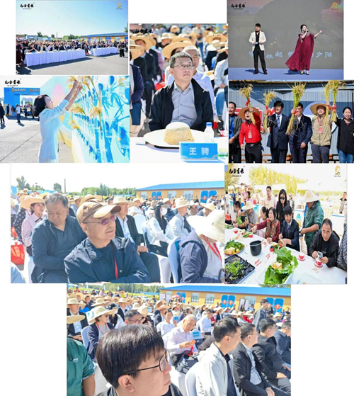 九台贡米新稻开镰   合十农业谱新篇(图7)