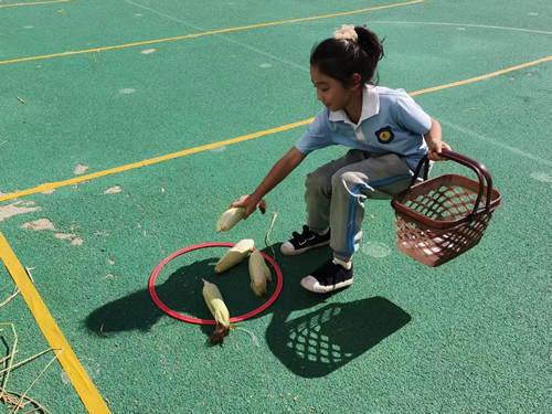 佳木斯市光复小学举办“庆丰收 享运动 乐成长”主题活动(图3) 佳木斯市光复小学举办“庆丰收 享运动 乐成长”主题活动(图3)