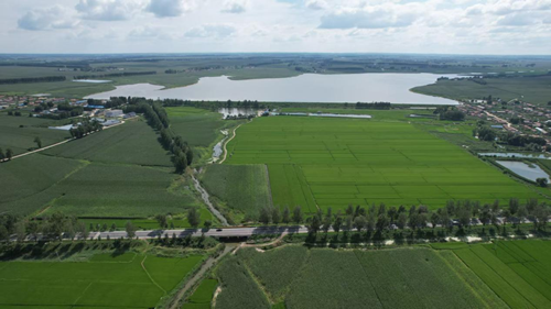 农安县三岗镇永远村：兵支书领航振兴路，特色物产誉乡邻(图4)