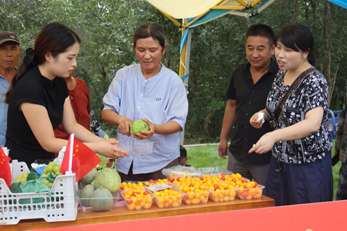 定远县:梅白来草坪音乐嘉年华暨第十二届定远池河梅白鱼文化旅游节盛大开幕(图4) 定远县:梅白来草坪音乐嘉年华暨第十二届定远池河梅白鱼文化旅游节盛大开幕(图4)