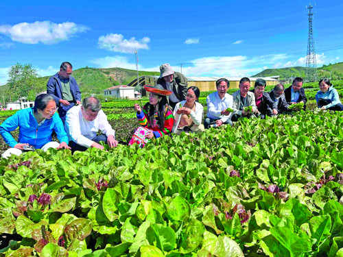 特色产业蓬勃发展 品牌建设成效显著：青海海东特色农业结硕果(图4)