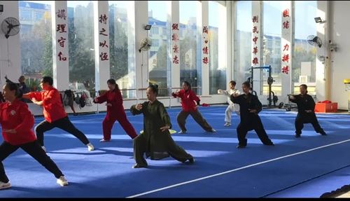 2025年全国太极拳健身站点（湖南站）教练员师资培训班圆满收官(图4)