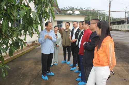 拥军爱警网一行考察海南诺丽产业龙头企业,全球诺丽原料供应商(图2) 拥军爱警网一行考察海南诺丽产业龙头企业,全球诺丽原料供应商(图2)